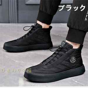 yNт/Ȃzi hV[Y Y Xm[V[Y Y V[gu[c N V[Y VjA@~@hXj[J[@JWAV[Y {AhC h ۉ g