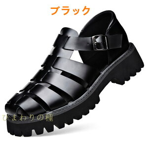 OJT_ Y g {v  tBbV[}T_  AEghA ߉\ N[YhgDT_ ʋCy A[`T|[gT_@rWlXT_ Y