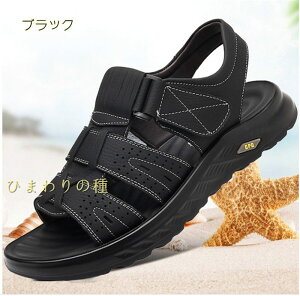 {v Y T_ Y X|[cT_ Y rWlXT_  r[`T_ AEghAT_  ₷ hɂ ʋC ϋvQ s24cm25cm27cm28cm