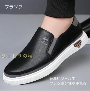 bV ʋC Xb| Y Xj[J[ JV Y@fbLV[Y@rWlXV[Y YV[Y@JWAV[Y [Jbg_炩 y L 3E TC