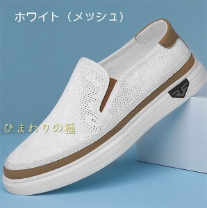 bV ʋC Xb| Y Xj[J[ JV Y@fbLV[Y@rWlXV[Y YV[Y@JWAV[Y [Jbg_炩 y L 3E TC