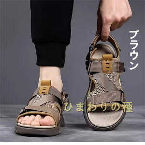 Y T_ Y X|[cT_ Y rWlXT_  r[`T_ AEghAT_  ₷ hɂ ʋC ϋvQ s24cm25cm27cm28cm