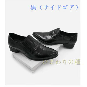 {v 2^Cv _炩 rWlXV[Y Y YV[Y JWAV[Y@[Jbg U[ _炩@vC @C amC t  @ɂ tH[} ₷ 