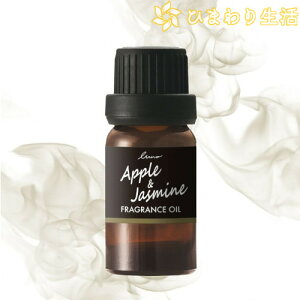 [m fBt[U[p tOXIC Abv&WX~