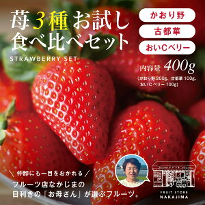 y115菇oׁzȂܔ_̌I3 Hה׃ZbgiAÓs؁ACx[jv400g lZbg C`S   t[c  Â 蕨 v[