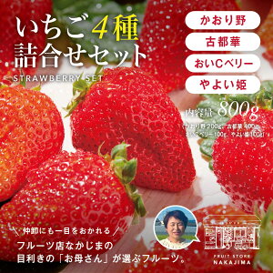 y115菇oׁzȂܔ_̌I4iAÓs؁ACx[A悢Pjv800g lZbg C`S   t[c  Â 蕨 v[g lΉ