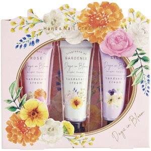 nhlCN[Zbg fCYCu[ Mtg 蕨 j Ε  v[g   Ε 䒆 i ei l ̂ Ԃ j C u