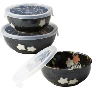 pbN3_ F Ԙa Mtg 蕨 j Ε  v[g   Ε 䒆 i ei l ̂ Ԃ j C u