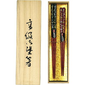 I ዷh Ԃ₵ ˔2VZbg Mtg 蕨 j Ε  v[g   Ε 䒆 i ei l ̂ Ԃ j C u