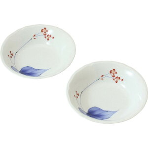 yubNtCf[N[|zzzyA16cm{E  v Mtg 蕨 j Ε  v[g   Ε 䒆 i ei l ̂ Ԃ j 