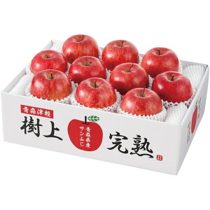 yubNtCf[N[|zzzXY ㊮nTӂ Mtg 蕨 v[g Ε Ε