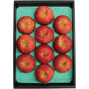 yX[p[SALEN[|zzz MBTӂ Mtg 蕨 v[g Ε Ε