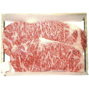 YјaT[CXe[L sE^ Mtg 蕨 v[g Ε Ε