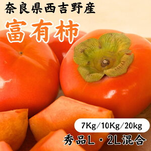 yubNtCf[N[|zzz` xL` Gi ޗǌY gY 7kg 10kg 20kg ` t[c   ʕ Â Yi n ӂ䂪 ӂ䂤