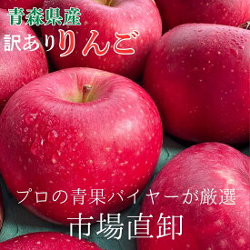 青果店厳選 青森県産 訳あり りんご 送料無料 青果市場直卸 キズあり 訳ありリンゴ 品種おまかせ 不揃い 規格外 美味しい まとめ買い 家庭用