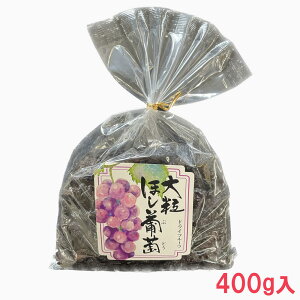 嗱 400g hCt[c uhE Ԃǂ ʎ [Y Y ۑ  sgp Y S |tFm[