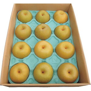 y}\N[|ő1000~OFFz G߂̗i5kgj