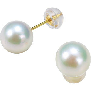 yubNtCf[N[|zzz18@ɐu{^8mmX^bhsAX Mtg 蕨 j Ε  v[g   Ε 䒆 i ei l ̂ 