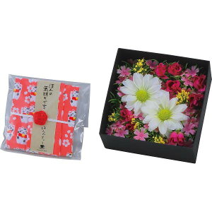 �y�労�ӍՌ���N�[�|���z�z���z �ق�̋C�����V���[�Y�@BOX�t�����[�i�n���J�`�E�g���t�j �͂Ȃ₩ �M�t�g ���蕨 ���j�� ���Ε� ������ �v���[���g ��� ���� ��Ε� �䒆�� �����i �e�i 