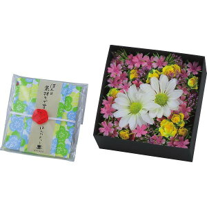 �y�労�ӍՌ���N�[�|���z�z���z �ق�̋C�����V���[�Y�@BOX�t�����[�i�n���J�`�E�g���t�j �͂�Ȃ� �M�t�g ���蕨 ���j�� ���Ε� ������ �v���[���g ��� ���� ��Ε� �䒆�� �����i �e�i 