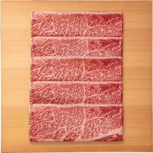 {苍@[X@Ԃԗpi360gj Mtg 蕨 j Ε  v[g   Ε 䒆 i ei l ̂ Ԃ j C
