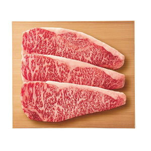 {Ɓ@̑勴@ߍ]@T[C@Xe[Lp3iv420gj Mtg 蕨 j Ε  v[g   Ε 䒆 i ei l ̂ Ԃ j C