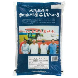 新潟　加治川産コシヒカリ 美味しい グルメ 手土産 差し入れ お土産 人気 ギフト おいしい プレゼント 保存食 有名 食べ比べ　景品 賞品 コンぺ 二次会