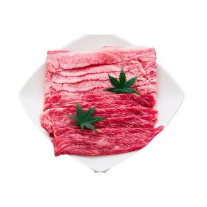 @ߍ]u쉮v@ߍ]₫ Ă  O yY  yY lC Mtg  v[g ۑH L Hהׁ@ii ܕi R 񎟉