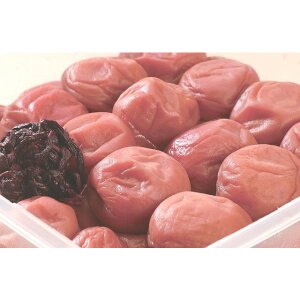 a̎R@IB썂~@̕ij  O yY  yY lC Mtg  v[g ۑH L Hהׁ@ii ܕi R 񎟉