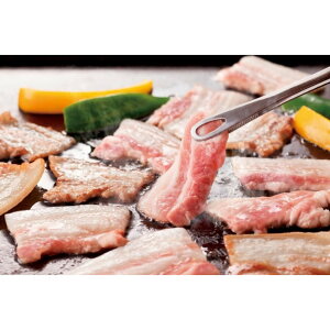 yubNtCf[N[|zzzOd@|[N@ē  O yY  yY lC Mtg  v[g ۑH L Hהׁ@ii ܕi R 