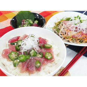 y}\N[|ő1000~OFFz É@܂yؘ 3l  O yY  yY lC Mtg  v[g ۑH L Hהׁ@ii ܕi R