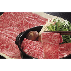 y}\N[|zzz  [XԂԗpi500gj  O yY  yY lC Mtg  v[g ۑH L Hהׁ@i