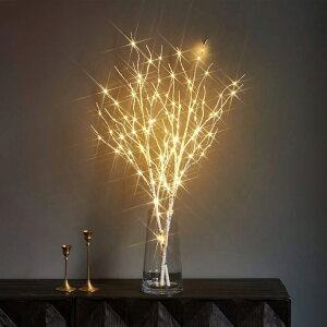 u`Cg100 LED } XgOCg C~l[V 80cm ԐڏƖ IV k