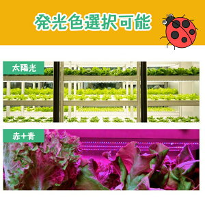 yԌGg[P5{UP!zA琬Cg led V[O 琬Cg A Cg ϗtA A Cg ^C}[@\ gtXyNg 5Ki 168LEDv z ԂƐ 4wb