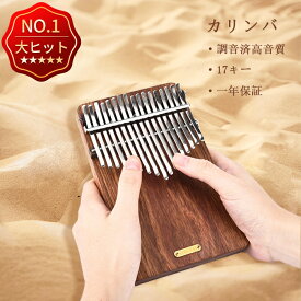 【クリスマス特選】LingTing LT-K17P 17鍵カリンバ・ムビラ・サム・ピアノ（海に耳を傾ける）