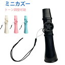 【期間限定エントリーでP10倍UP!】カズー 軽量 ストラップ付 良い音 カズー楽器 音楽玩具 プレイが簡単な マルチカラ…