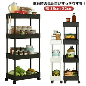 [ X 22cm 15cm X[ Lb`Ԏ[     ԃbN S Ԏ[S [S LX^[t  [bN RpNg  ʏ Lb`