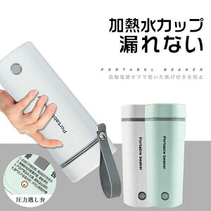 電気ケトル 電気ポット 小型 軽量 30℃〜100℃ 400ml ミニ 電気ボトル ボトル 旅行 外出 400ml 魔法瓶 ポータブル 自動電源OFF 空だき防止機能 5分間で沸騰 お湯 湯沸かし コーヒー 茶 誕生日 クリ