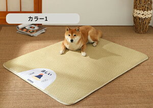 ybgxbh ėp L xbh xbh  ⊴ ې Ђ Ђ}bg NbV ybgpi }bg ~ ėp p}bg L ybg}bg }bg ėpLp p NbV y