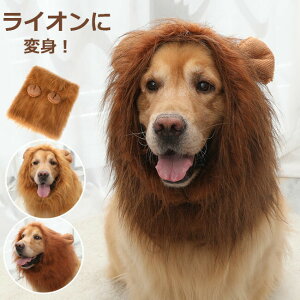 LpXq pXq ybg EBbO CIɕϐg nEB ybgEBbO  RXv CI  RX`[ p  t ybg ϑObY 낢 EBbO Lbv