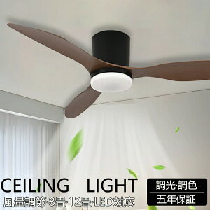 y5Nۏ؁zV[Ot@Cg@RtƖ@led F  dc[^[ t]@\ 8 10 12 Ɩ V[OCg Ɩ @t V Q a ʏ ȃG