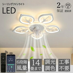 y5Nۏ؁zV[Ot@Cg U T[L[^[ ȃGl y  k ^ 60cm F t@ Cg  V[OCg @t R V[Ot@