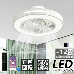 �V�[�����O�t�@�����C�g LED 10�� ���^ dc���[�^�[ �������F �V��Ɩ� ������� �k�� �����R���t�� ���r���O LED �������F �Ɩ� led dc���[�^�[ �t�@�� ���C�g ������� �V�[�����O���C�g ��@