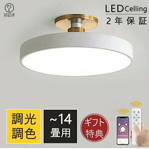 �_�y�V�X�[�p�[SALE�I���z�I�^�V�[�����O���C�g LED �������F �����R���t�� ������� �k�� �F�ύX �A�p�[�g���C�g 6�� 8�� 10�� 12�� ���t���ȒP ���邢 �V��Ɩ� �m�� �a�� ���r���O ���� �V