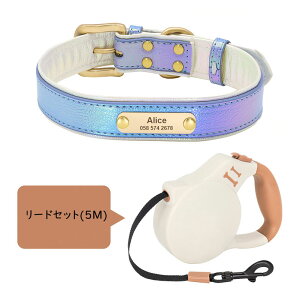 yz    qD O O  I[_[Ch 󖳗_炩 S Ȃ ^ ^ ^ 킢  ybg p  т ybg 