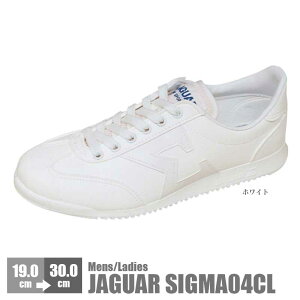 [X^[ WK[VO} 04CL Xj[J[ qC WjA w ʊw fB[X Y V[Y wC ʊw ʊw y 