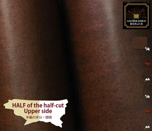 {v ق̔TCYyz vAbvkyI[_[JbgA[U[HAUVvgΉz{ ( nhCh Ntg U[Ntg |  f Ȃ߂  2.0mm 1.5m