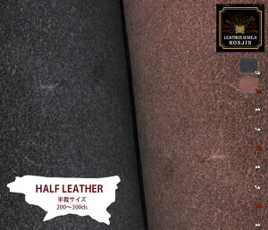 {v كTCY vKXkyI[_[JbgΉz{ ( nhCh Ntg U[Ntg |  f Ȃ߂  2.5mm 2.0mm ubN uE v )