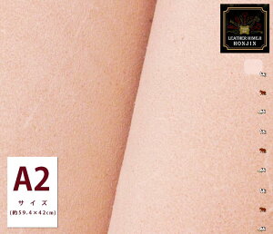 {v A2TCY kyI[_[JbgΉz{ ( nhCh Ntg U[Ntg |  f Ȃ߂ A2 2.0mm 1.5mm 1.0mm ^[ Ȃ )