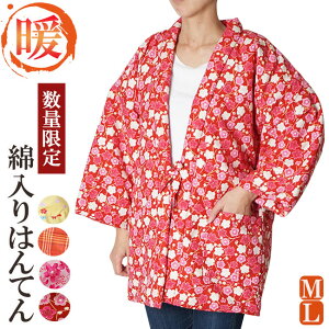 ͂Ă fB[X ^-wl ȓ蔼Z V@ʌ  ~ OO ͂Ă җ 񂿂 hV̓ Mtg